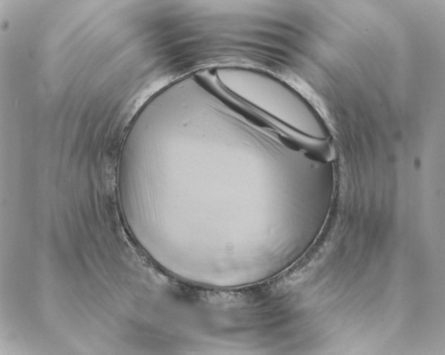 X0000088580945200706151708