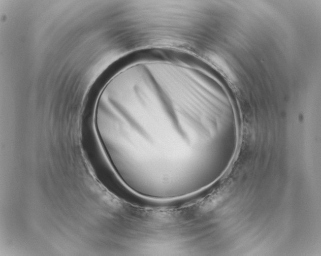 X0000088580948200706151708