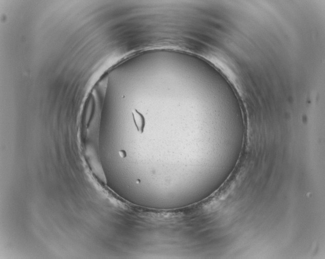 X0000088580949200706151708