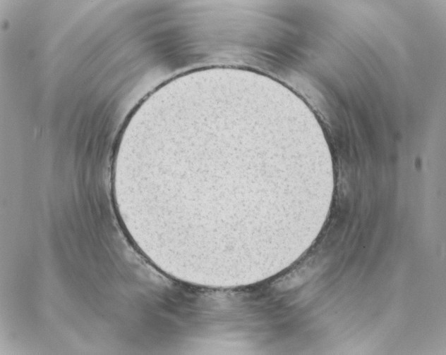 X0000088580950200706151708