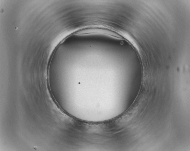 X0000088580951200706151708