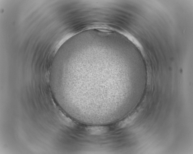 X0000088580953200706151708