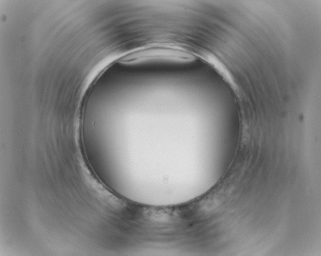 X0000088580955200706151708