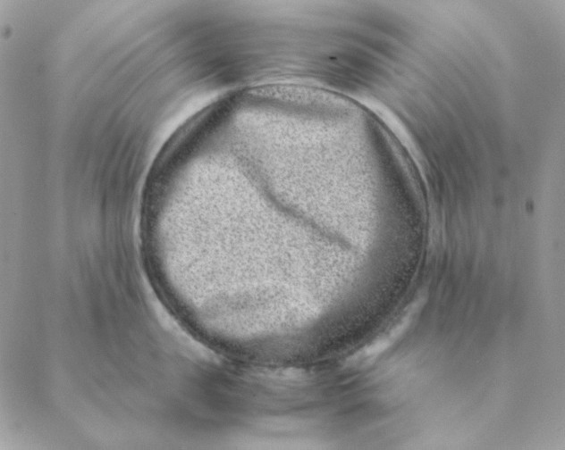 X0000088580957200706151708