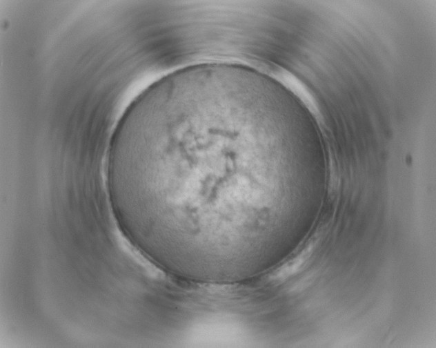 X0000088580958200706151708