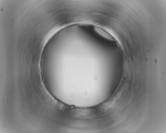 X0000088580959200706151708