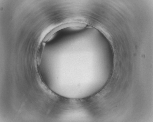 X0000088580960200706151708