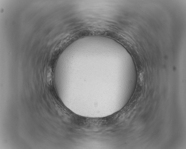 X0000088580963200706151707