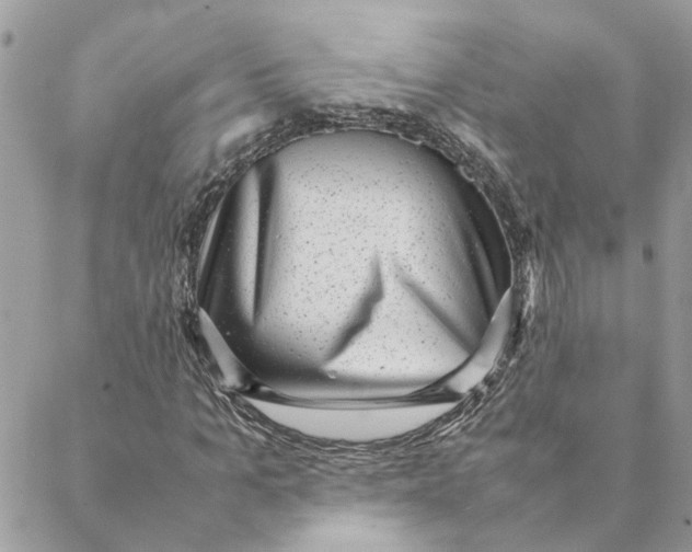 X0000088580965200706151707