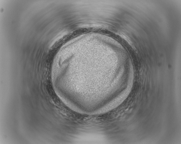 X0000088580967200706151707