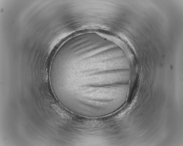 X0000088580973200706151707