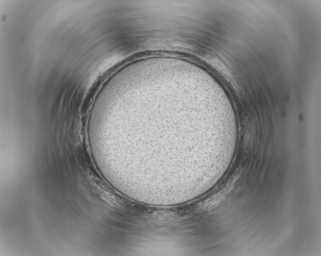 X0000088580974200706151707