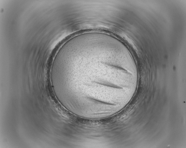 X0000088580975200706151707