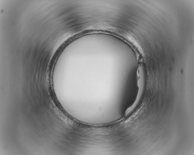 X0000088580976200706151707