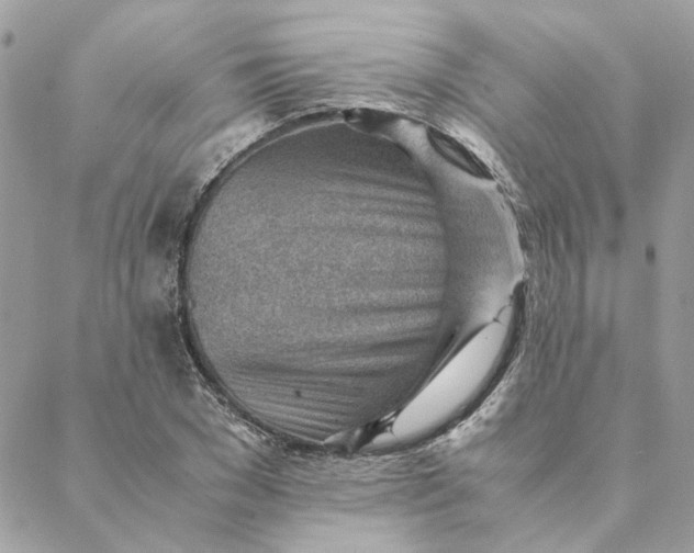 X0000088580977200706151707