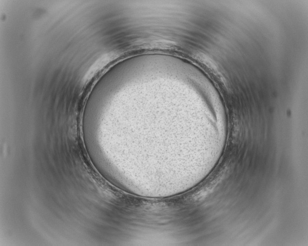 X0000088580978200706151707