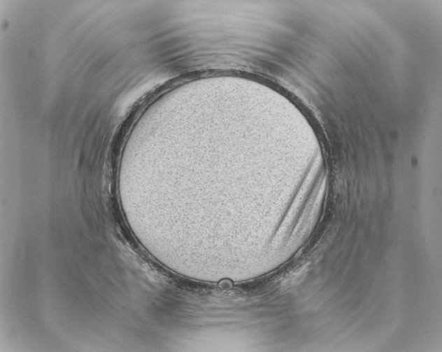 X0000088580979200706151707