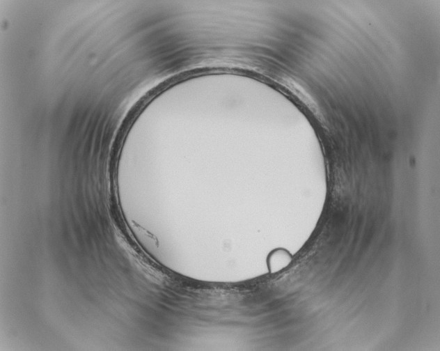 X0000088580980200706151707