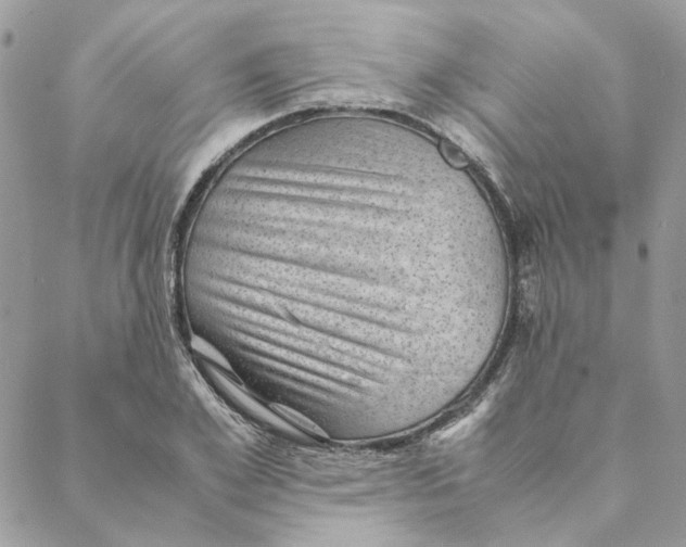 X0000088580981200706151707