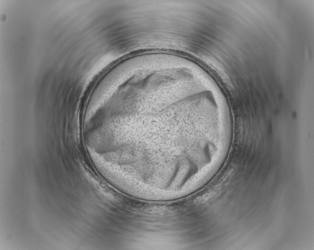 X0000088580982200706151707