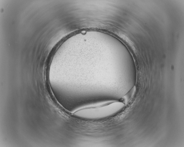 X0000088580983200706151707