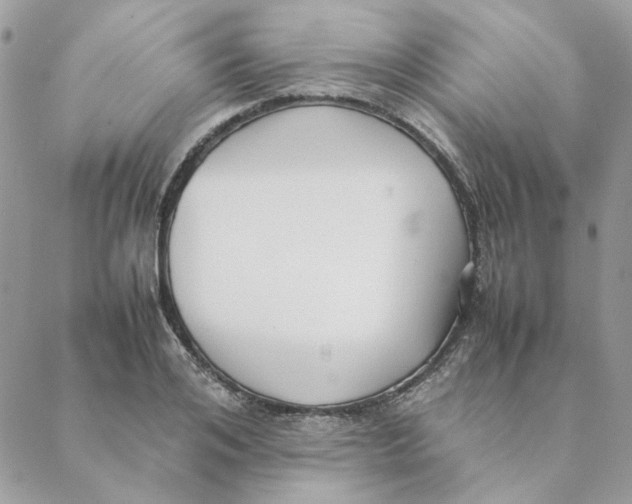 X0000088580984200706151707