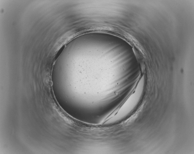 X0000088580985200706151707