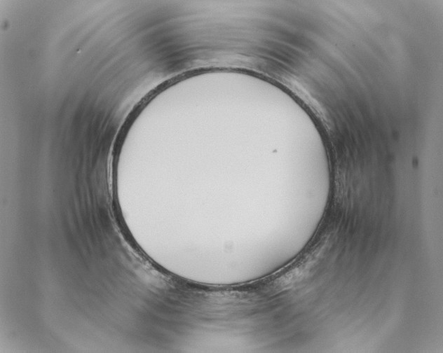 X0000088580988200706151707