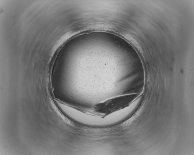 X0000088580989200706151707