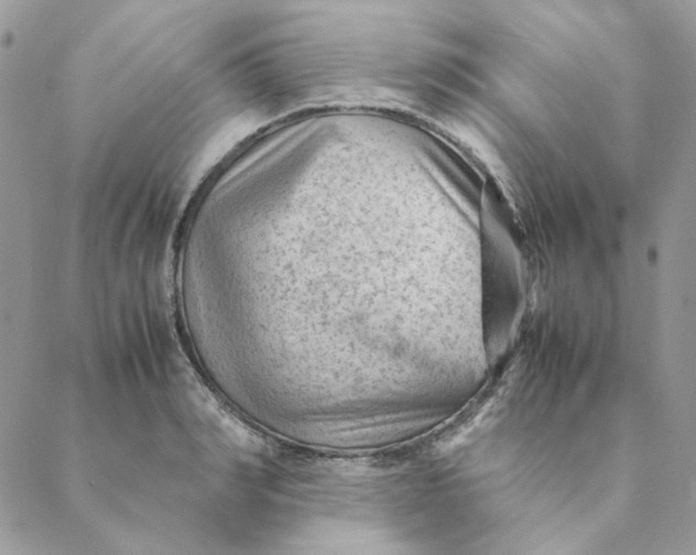 X0000088580990200706151707