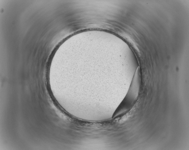 X0000088580991200706151707