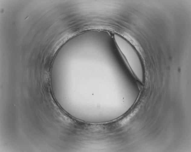 X0000088580993200706151707