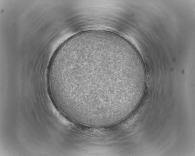 X0000088580995200706151707