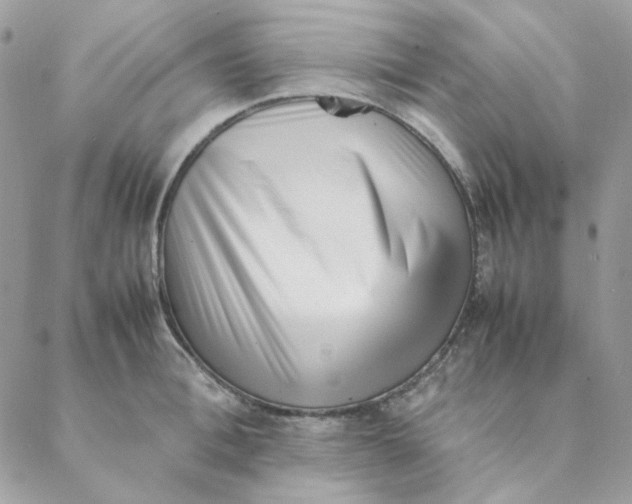 X0000088580996200706151707