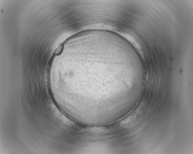 X0000088580998200706151707