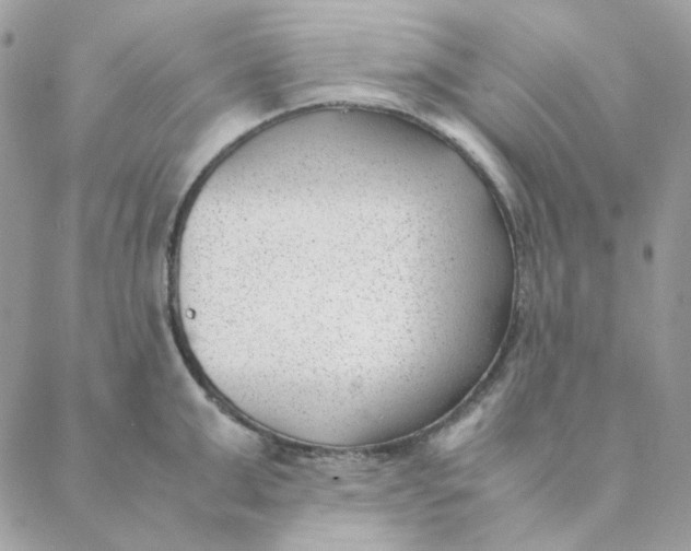 X0000088580999200706151707