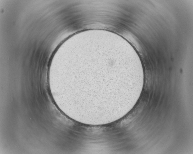 X0000088581000200706151707