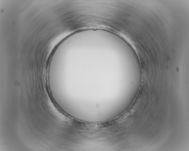 X0000088581003200706151707