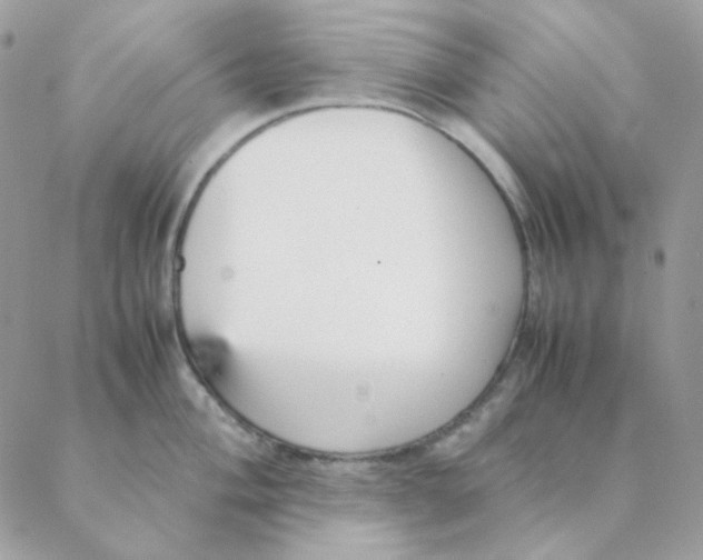 X0000088581004200706151707