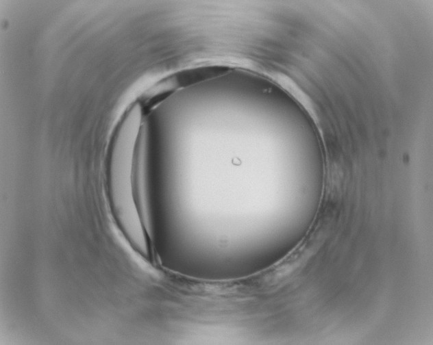 X0000088581005200706151707