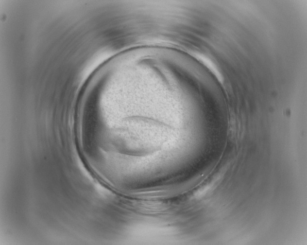 X0000088581007200706151707