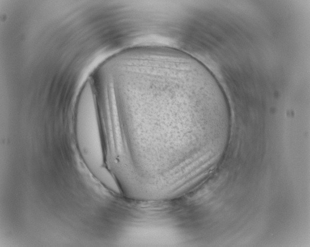 X0000088581008200706151707