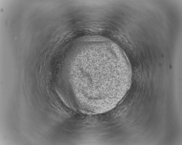 X0000088581009200706151706