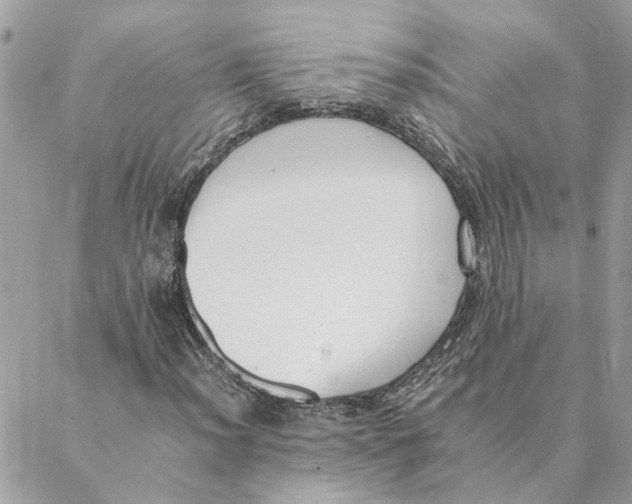 X0000088581012200706151706