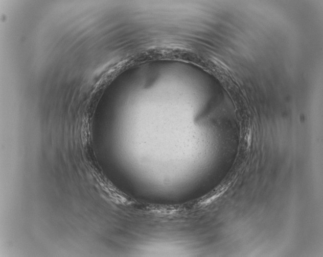 X0000088581014200706151706