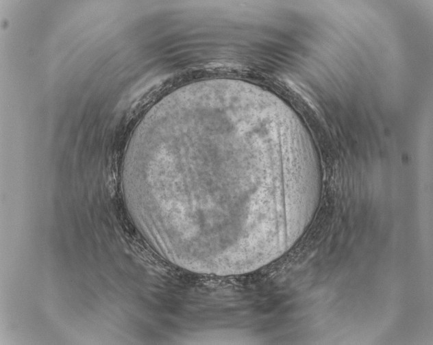 X0000088581015200706151706