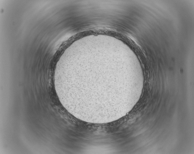 X0000088581016200706151706