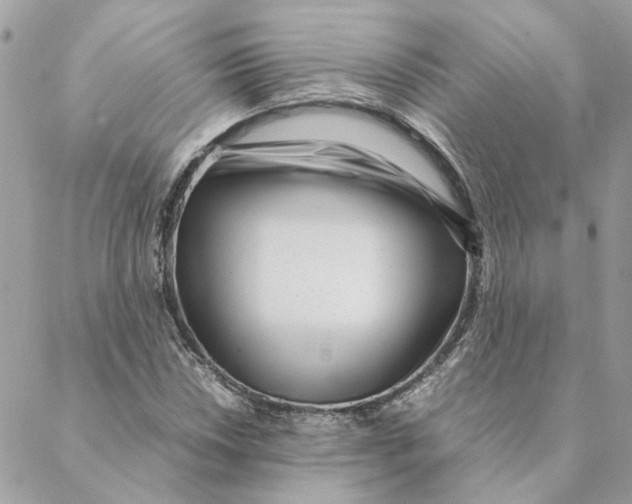 X0000088581018200706151706