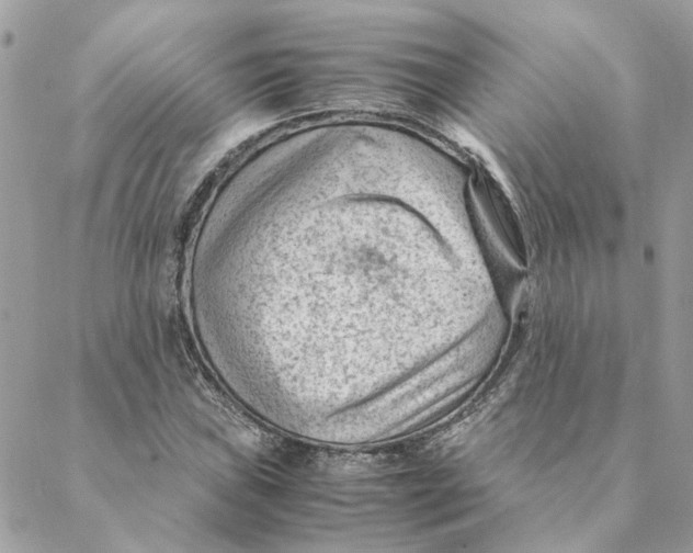 X0000088581019200706151706