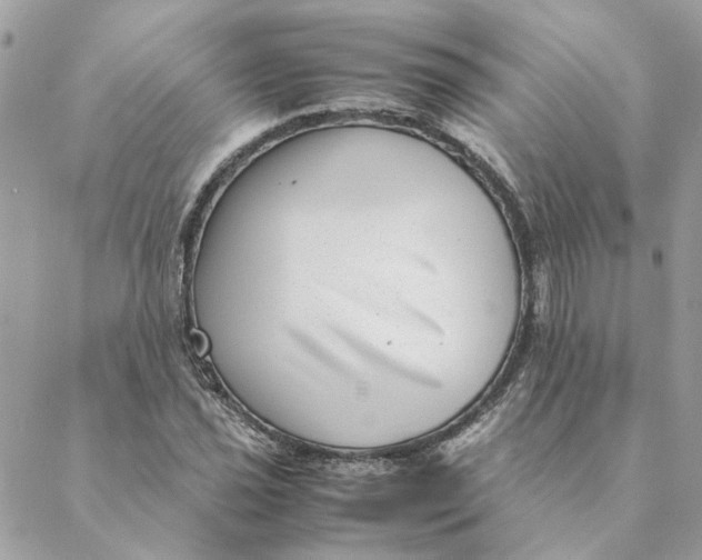 X0000088581021200706151706